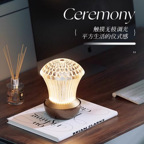 奥斯哥纳轻奢网红店装饰台灯