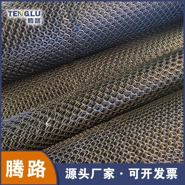 厂家路基 增土工网强ce131边坡C防护E151塑料土工网