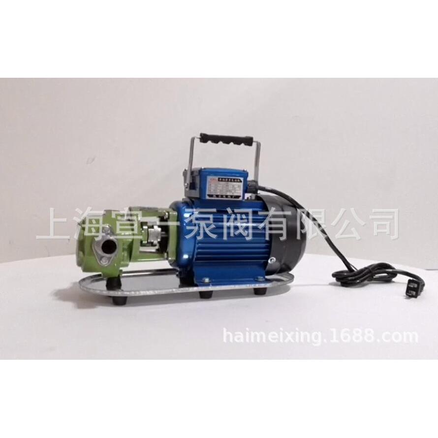 宣WC3B0微型齿轮式输油泵 一供应WCB-30微型齿轮输式油泵