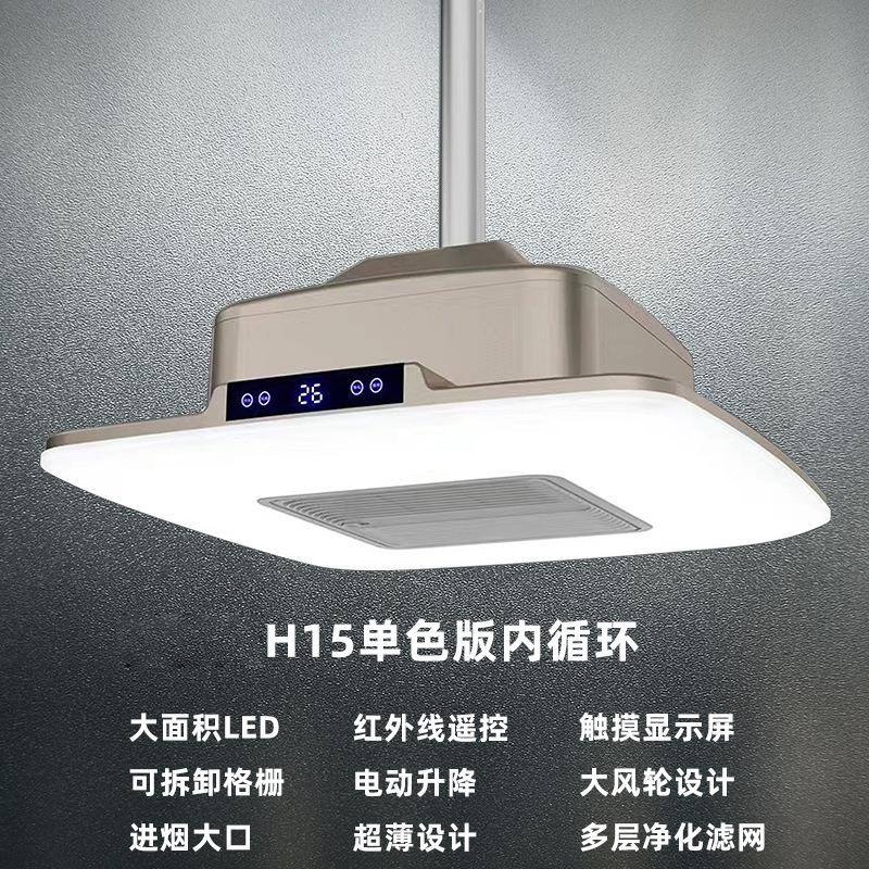 麻将房棋室牌吸烟灯吊灯茶馆内循环大力吸抽烟排烟空气净化器楼麻
