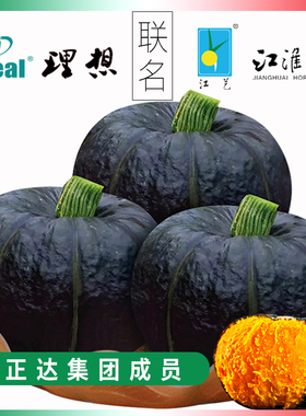 正宗绿贝贝南瓜种籽高产板栗小南瓜种子春秋季瓜类蔬菜种孑籽大全