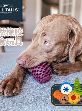 美国Tall Tails天然橡胶狗狗漏食玩具益智丰容耐用TUDOU宠物用品