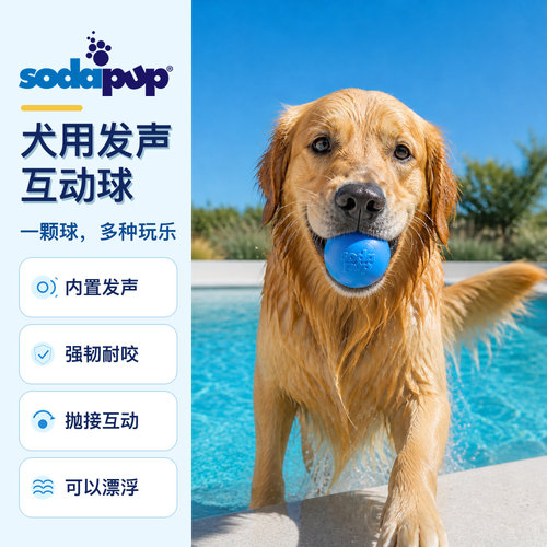 美国Sodapup狗狗发声球耐咬浮水