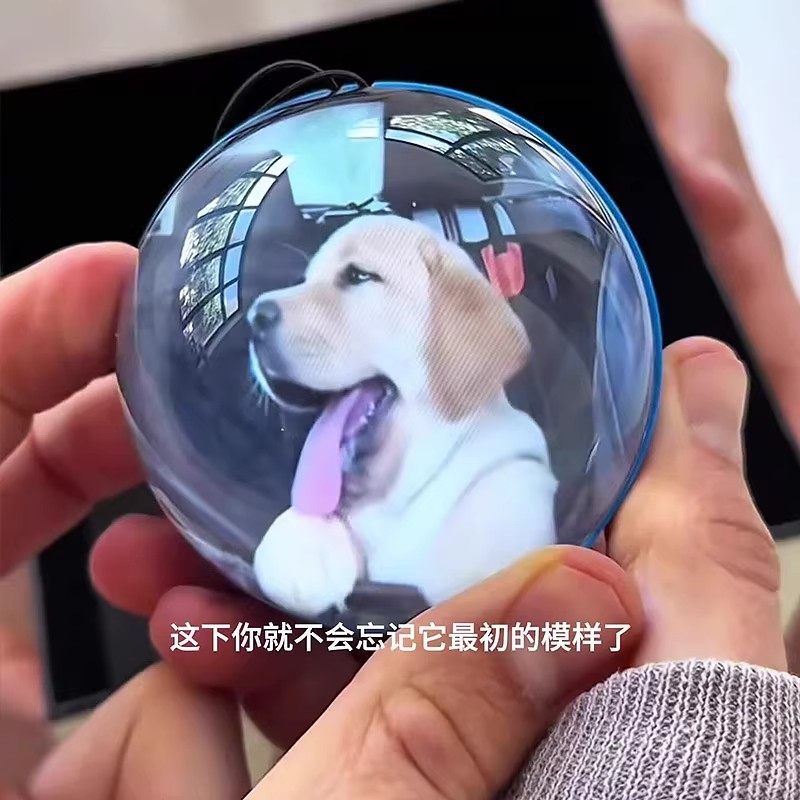 记忆水晶球魔法电子球宠物纪念品吊坠摆件发光创意生日礼物高级感,节庆用品/礼品,创意礼盒/礼品套组,淘宝优惠券,粉丝福利购,淘宝优惠卷