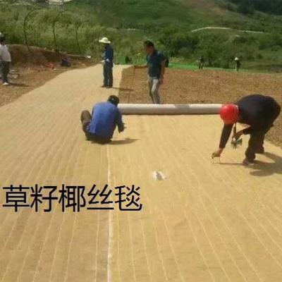 椰丝植被河道公路边绿化植草毯 护坡植物纤维椰丝毯