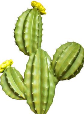 户外大型仿真仙人掌玻璃钢雕塑公园林景观小区草坪植物装饰品摆件