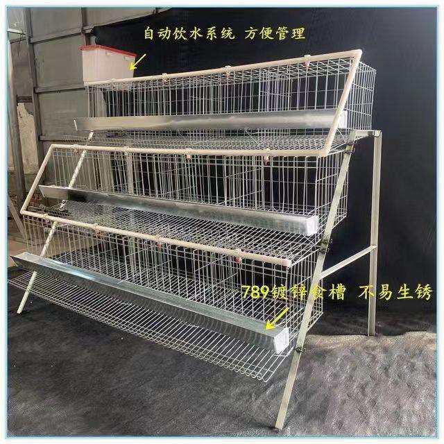阶梯式蛋鸡单边双边三层自动笼位笼子鸡笼家用加粗养殖场养殖笼具