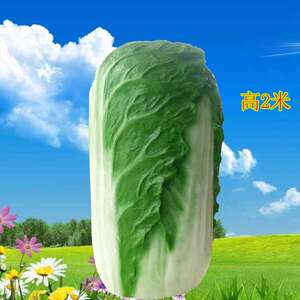 玻璃钢大白菜雕塑大型水果蔬菜农作物雕塑户外生态园庄园摆件