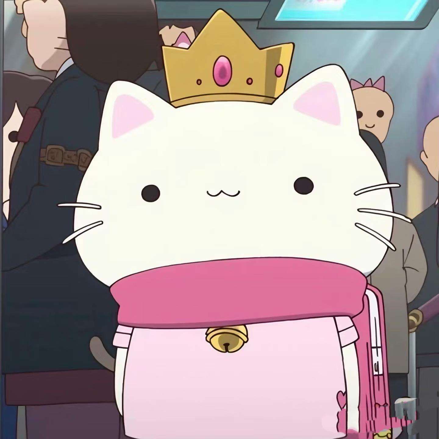 ——0626-5晴雨两用雨伞25年新款超轻合金玻纤伞骨轻便小巧