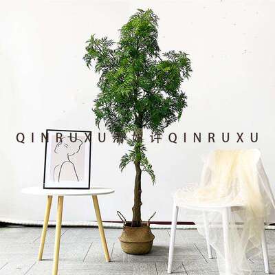 假树羽叶福禄桐招财树假桐树仿真绿植盆栽中式假树盆景办公室
