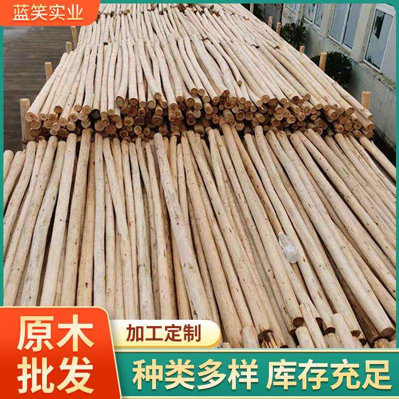 杉木杆江苏景观绿化沙杆6米林场直发