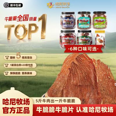 牛脆片脆脆薄脆牛肉片