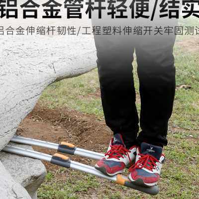 剪树枝专用剪刀果树剪枝修枝剪修剪修粗枝剪加长园林大剪子枝剪