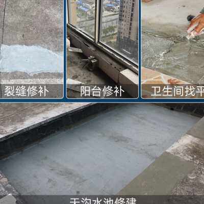 防水泥修补剂裂缝水不漏堵补漏王砂浆速干防水快干速凝型白水泥胶