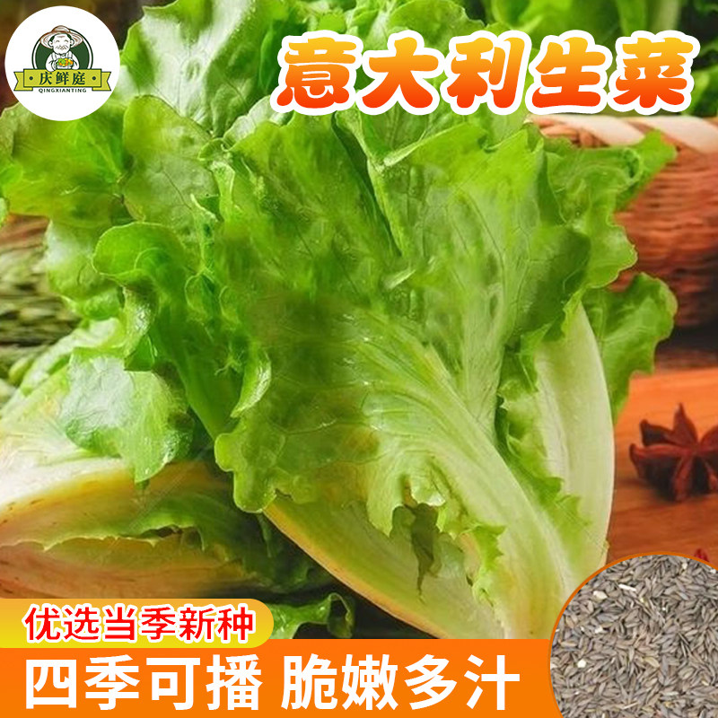 意大利速生生菜种籽四季沙拉小白菜阳台菜籽盆栽蔬菜孑菜种春季籽,鲜花速递/花卉仿真/绿植园艺,家庭园艺种子,淘宝优惠券,粉丝福利购,淘宝优惠卷