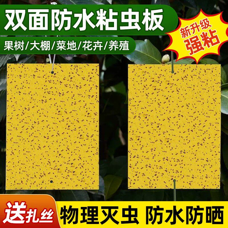 粘虫板黄板双面大棚强力粘蚊贴果园苍蝇诱粘剂小飞虫果蝇贴诱捕器