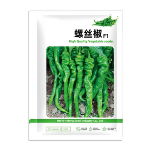 香辣螺丝椒种子高产大果青辣椒种籽春四季阳台盆栽蔬菜种孑苗大全