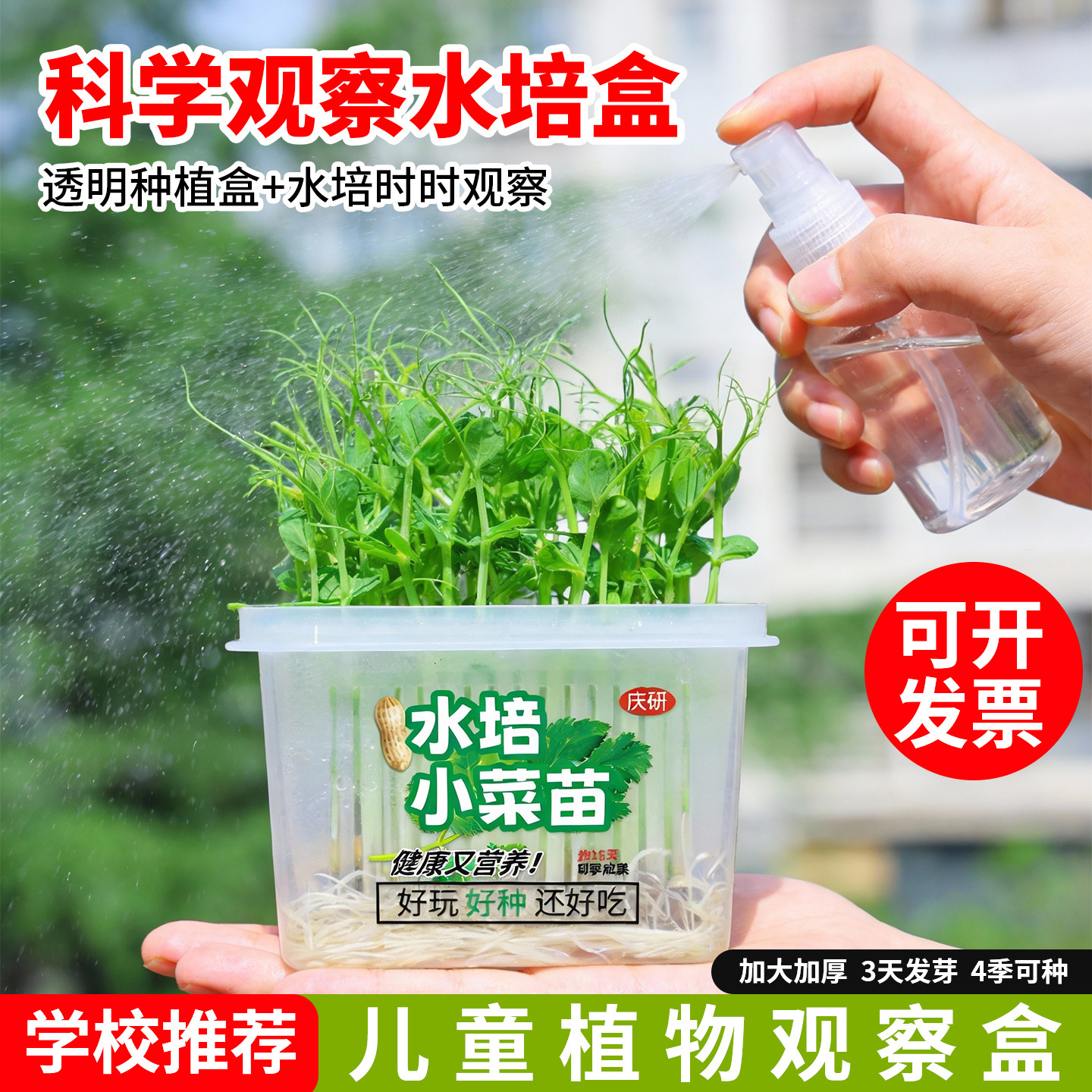儿童绿植小盆栽植物发芽生长种植蔬菜水培观察种子小学生蔬菜盒子,鲜花速递/花卉仿真/绿植园艺,种苗/半成品盆栽,淘宝优惠券,粉丝福利购,淘宝优惠卷