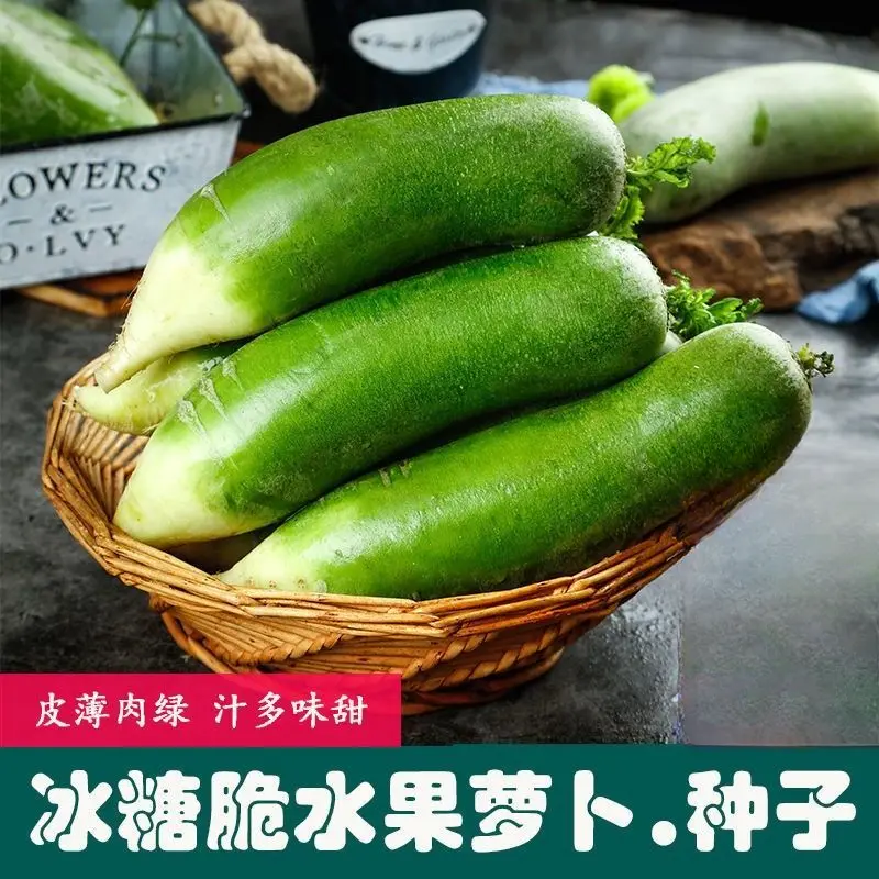 冰糖水果萝卜种子生吃脆甜农家蔬菜种四季播种阳台盆栽绿萝卜种籽