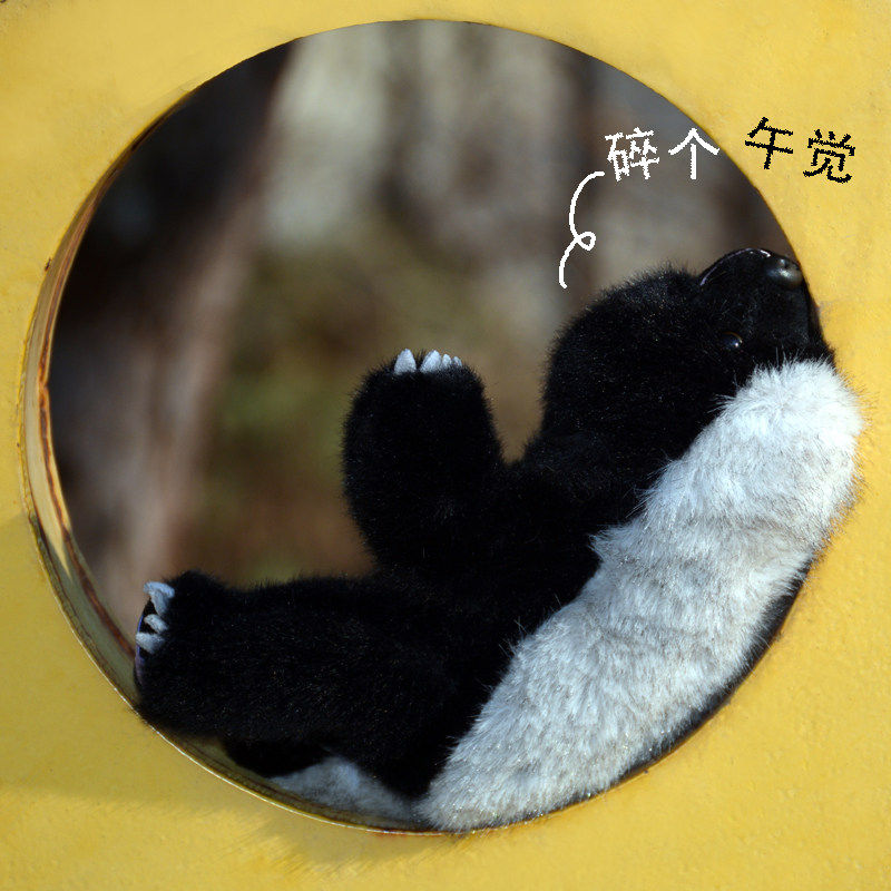 可爱平头哥毛绒玩具蜜獾公仔趴肩平头哥宠物玩偶生日礼物桌面礼物,玩具/童车/益智/积木/模型,毛绒/玩偶/公仔/布艺类玩具,淘宝优惠券,粉丝福利购,淘宝优惠卷