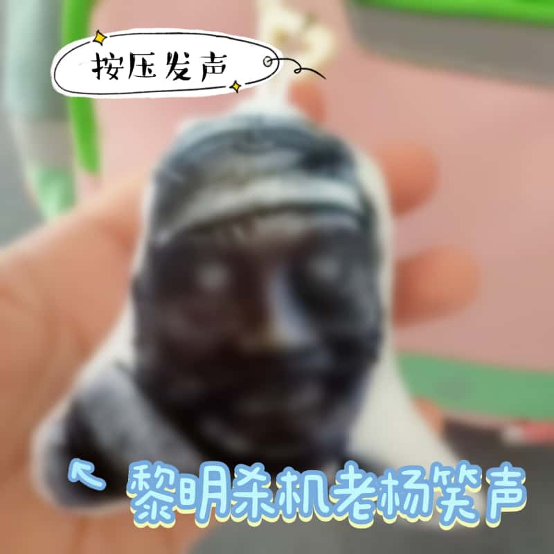 黎明杀机老杨笑声发声挂件