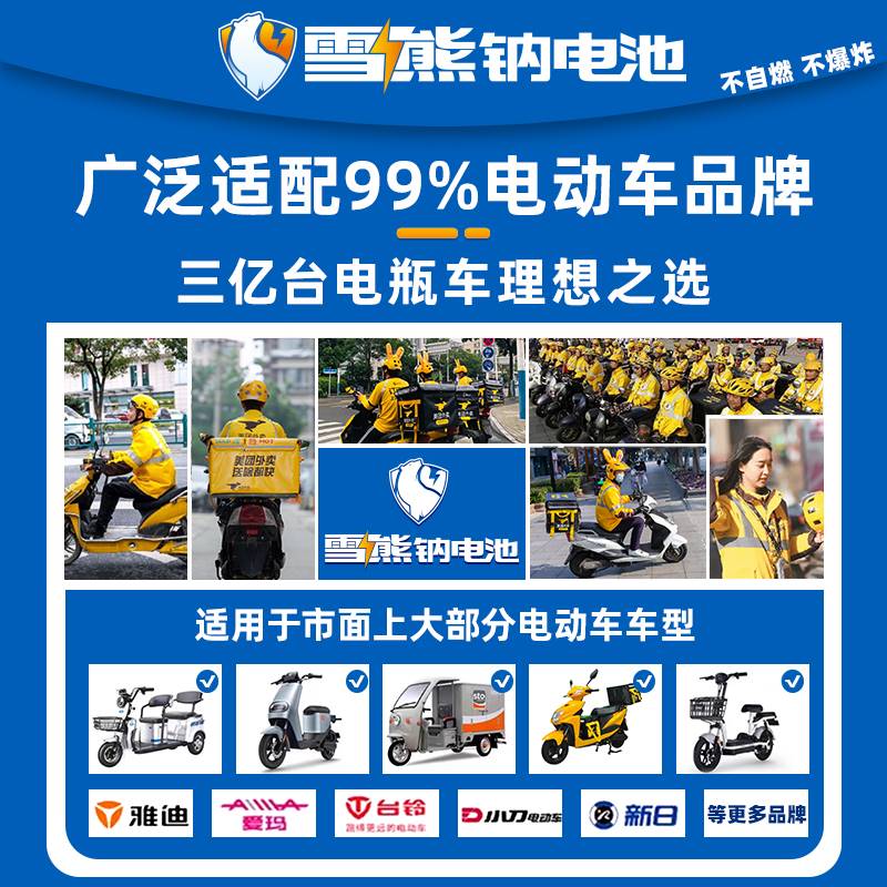 雪熊钠离子电池组平替锂电瓶两轮三轮电动车48v60v72伏外卖新国标