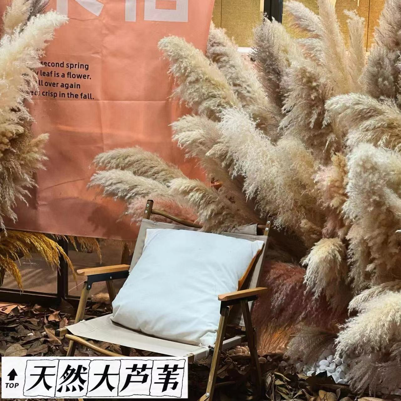 长芦苇花商场集市道具秋季装饰