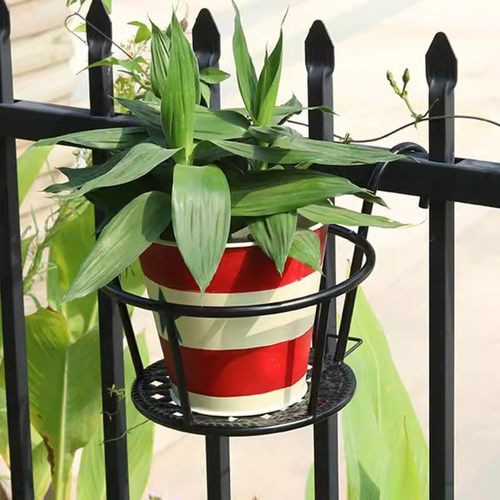铁艺多肉吊兰客厅加大栏杆花架