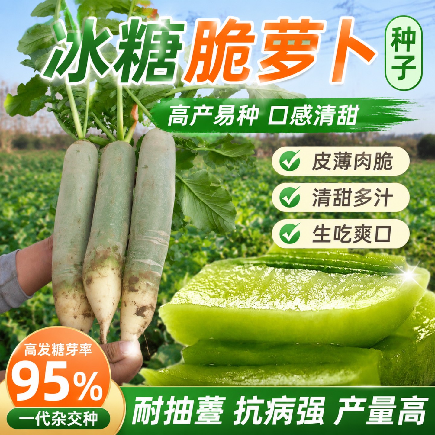 冰糖脆青水果萝卜种子生吃甜脆