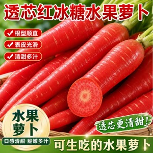 新种生吃甜脆水果胡萝卜种子耐热