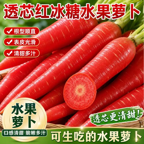 新种生吃甜脆水果胡萝卜种子耐热