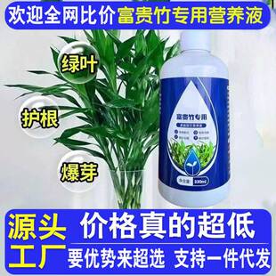 Nutrient solution fertilizer specifically for lucky bamboo,