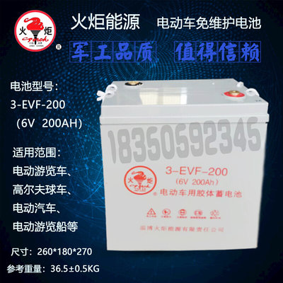 免维护3EVF200/4EVF150/6EVF100电动观光车铅酸胶体蓄电池