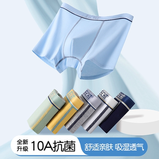 A类选料-青少年内裤中大男童纯棉平角初中13周岁发育期舒服宽松