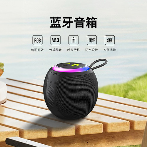 LANEX朗思定制LOGOLY10 蓝牙音箱 政企商务活动