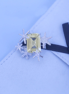 HF何家霏雪胸针925银轻奢优雅