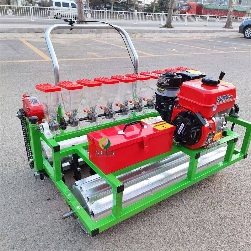 厂家销售汽油款大棚蔬菜播种机 辣椒西红柿育苗机白菜香菜精播机