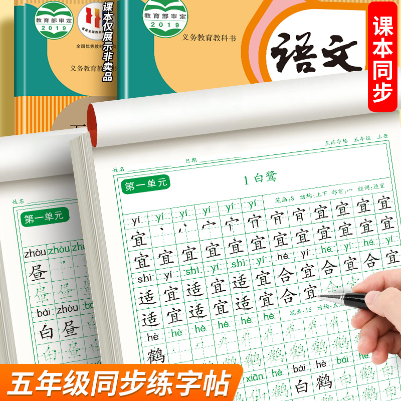 五年级六年级练字帖同步语文课本