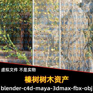 Blender树木榛树柳树树叶叶子垂柳3d模型素材FBX C4D 3DMAX unity