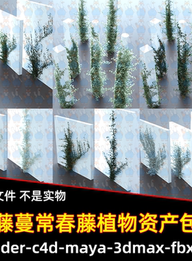 Blender c4d写实藤蔓常春藤爬山虎绿色植物资产包3D模型FBX 3dmax