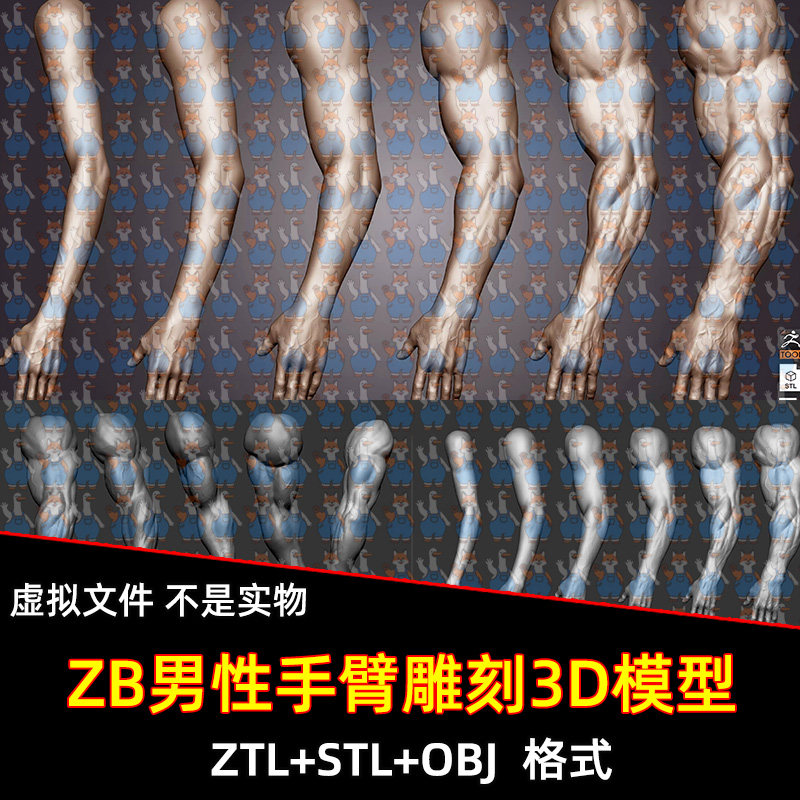 ZBrush雕刻男性手臂3d模型stl苗条到肌肉男手变化解剖学可3D打印