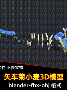 3dmax maya c4d blender影视游戏风格化卡通植物矢车菊小麦3d模型