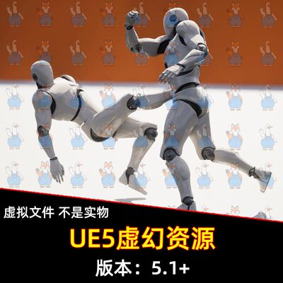 UE5虚幻MoCap Combat Animations - Dual Character打架格斗动作