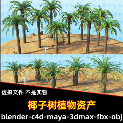 Blender椰子树棕榈树叶植物资产3d模型FBX C4D 3DMAX MAYA unity