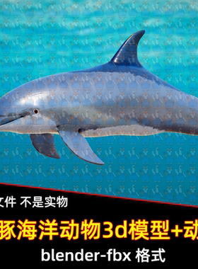 blend写实海豚海洋动物3D模型带骨骼绑定动画fbx素材游动鸣叫动画
