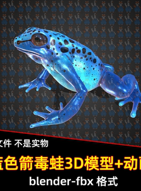 blender写实蓝色箭毒蛙青蛙动物3D模型带骨骼绑定跳跃动画fbx素材
