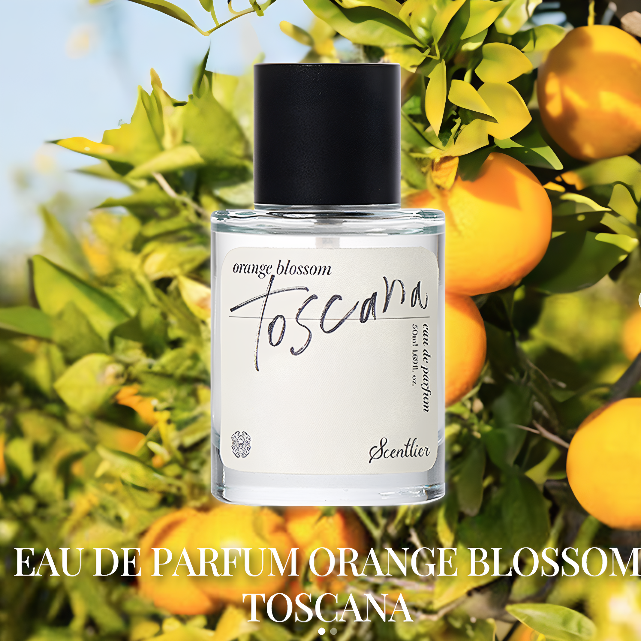 韩国scentlier香水托斯卡纳橙柑橘orange blossom小雏菊daisy小样