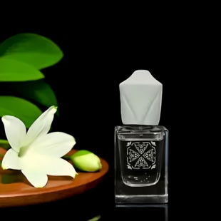 肌肤之味京都香水滇结香北境极光冈仁波齐迦南玫瑰雷公山试香小样