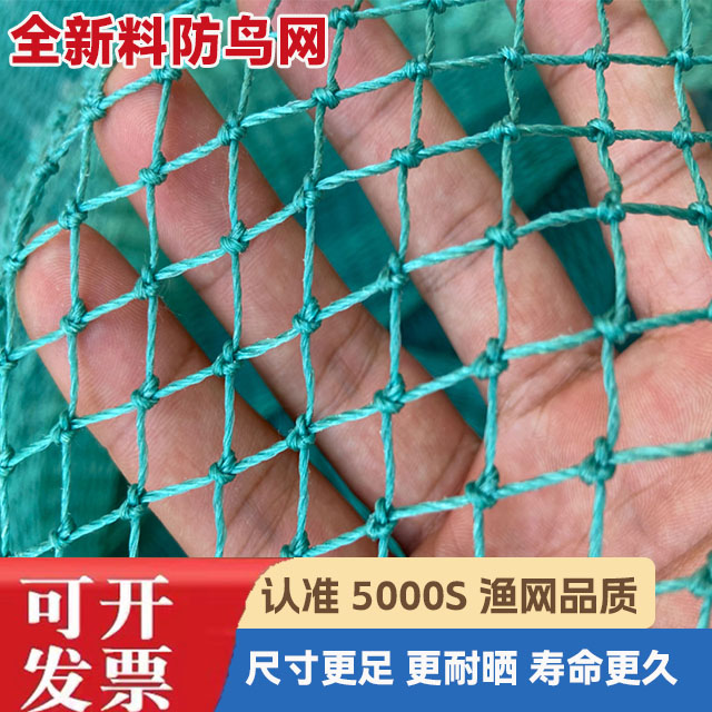大棚尼龙线防鸟网养鸡尼龙天网养殖网鱼塘果园防鸟网果树防鸟用网