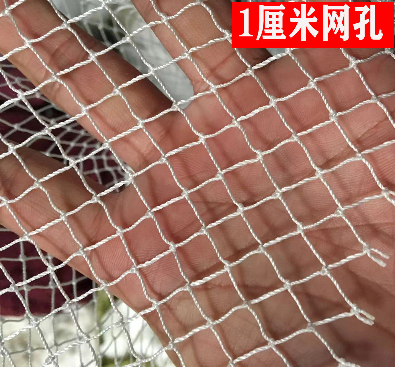 大棚尼龙防鸟网纱网养殖天网葡萄园樱桃园果园果树防鸟用鱼塘网片